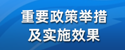 重要政策举措及实施效果